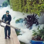 Mosquito control in school