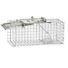 Where to Buy Rat Traps Home Depot